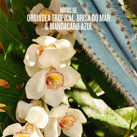 REFRESCO PARAISO SUMMER LE MIST